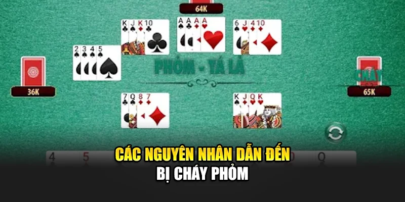 Các nguyên nhân dẫn đến bị cháy phỏm