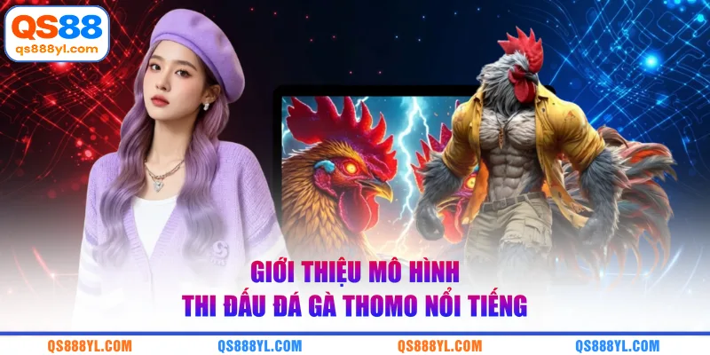 Giới thiệu mô hình thi đấu đá gà Thomo nổi tiếng 