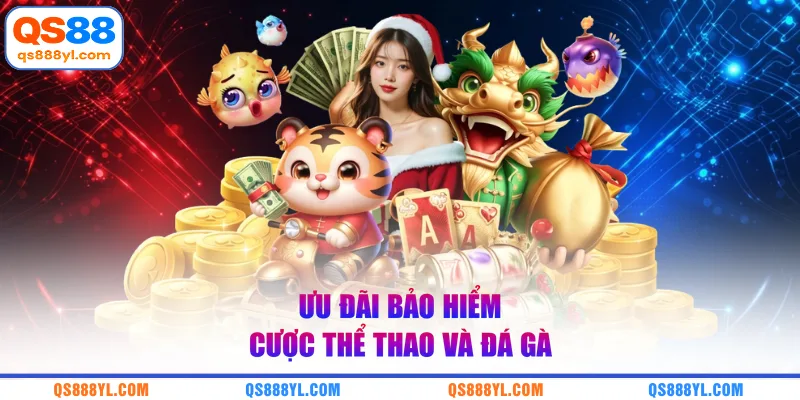 Ưu đãi bảo hiểm cược thể thao và đá gà